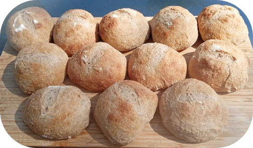 Dozen Sourdough Buns